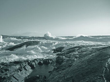 Free Sea Wind photo and picture