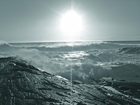 Free Sea Wind photo and picture