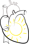 heart, sun, sun in the heart