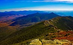 white mountains, new hampshire, forest