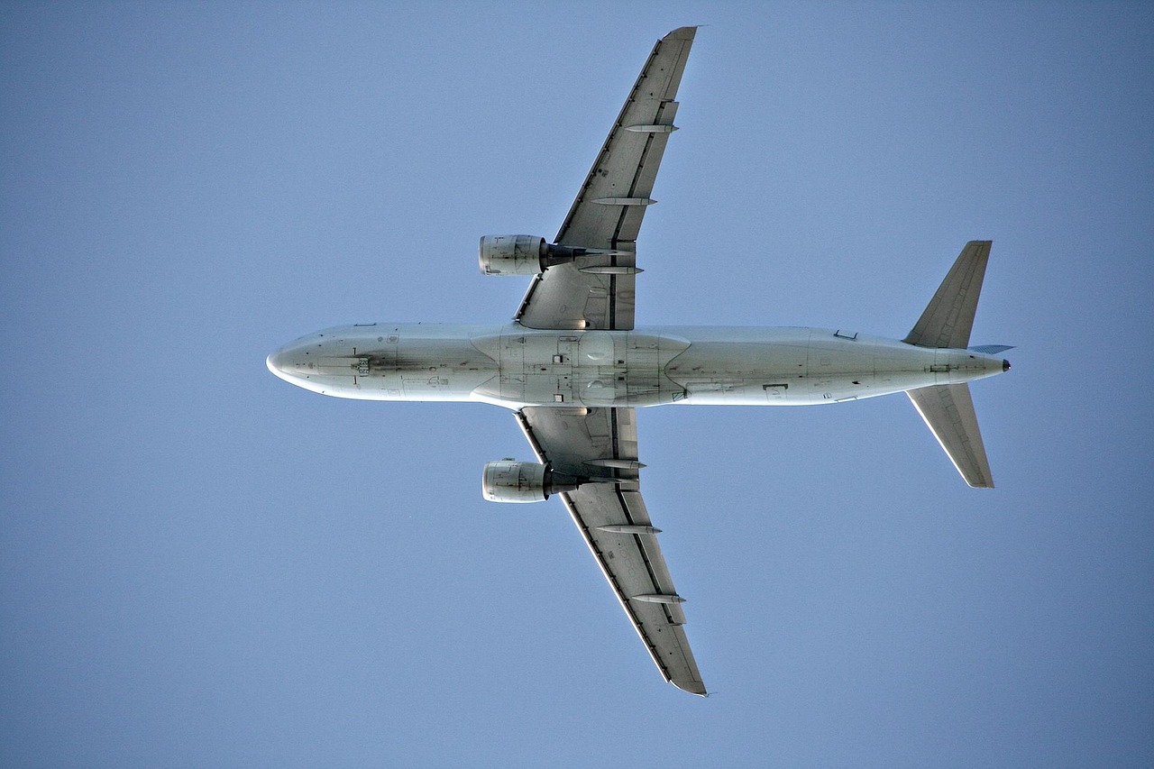 Plane - free online jigsaw puzzle photo