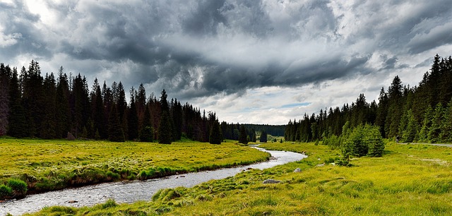 Free Šumava Nature photo and picture