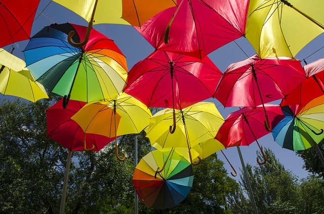 Free Umbrella Umbrellas photo and picture