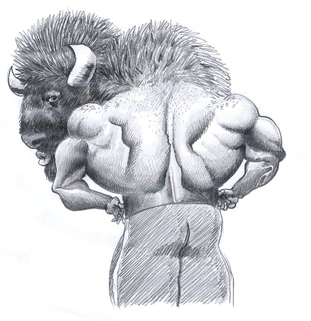 Free body builder back body illustration