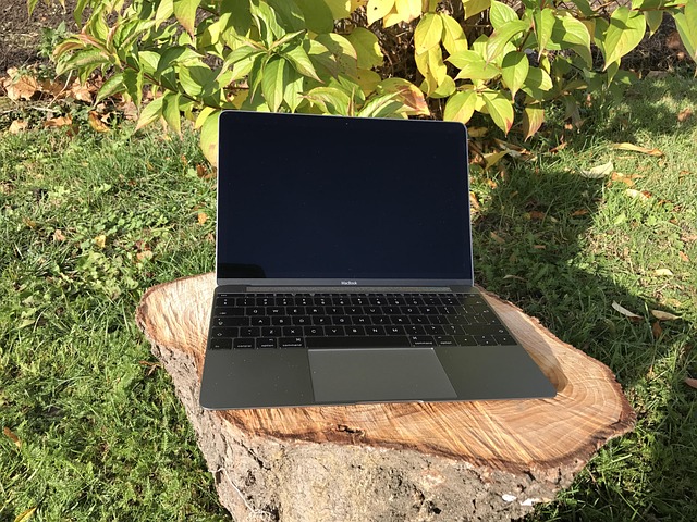 Free Computer Apple photo and picture
