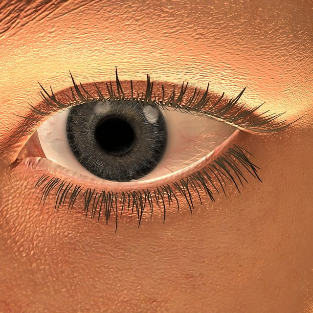Free eye woman eyelashes illustration