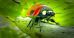 ladybug, beetle, lucky charm