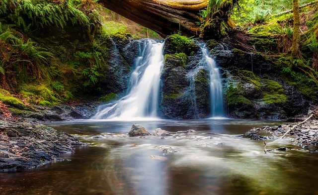 Plus De 200 000 Photos Gratuites De Cascades D Eau Et De Cascade Pixabay