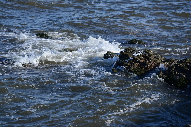 Free Port Water photo and picture
