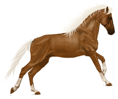 Free Horse Nature illustration and picture
