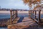 wooden bridge, meadow, ripe