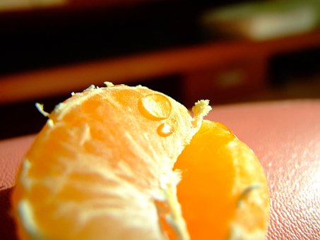 Free Mandarin Fruit photo and picture