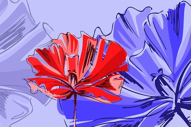 Free poppy purple red illustration