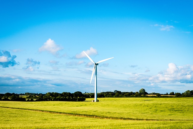 Free Windmill Field photo and picture