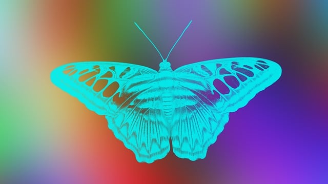 Grafică, Fundal, Colorat, Fluture