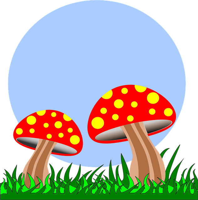 Free mushrooms field fungus vector