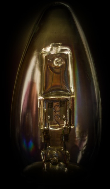 Free The Light Bulb Light photo and picture