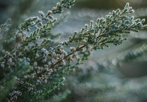 Free Heather Frost photo and picture