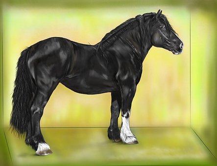 Free Digital Painting Art illustration and picture