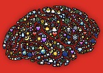 mind, brain, cerebrum