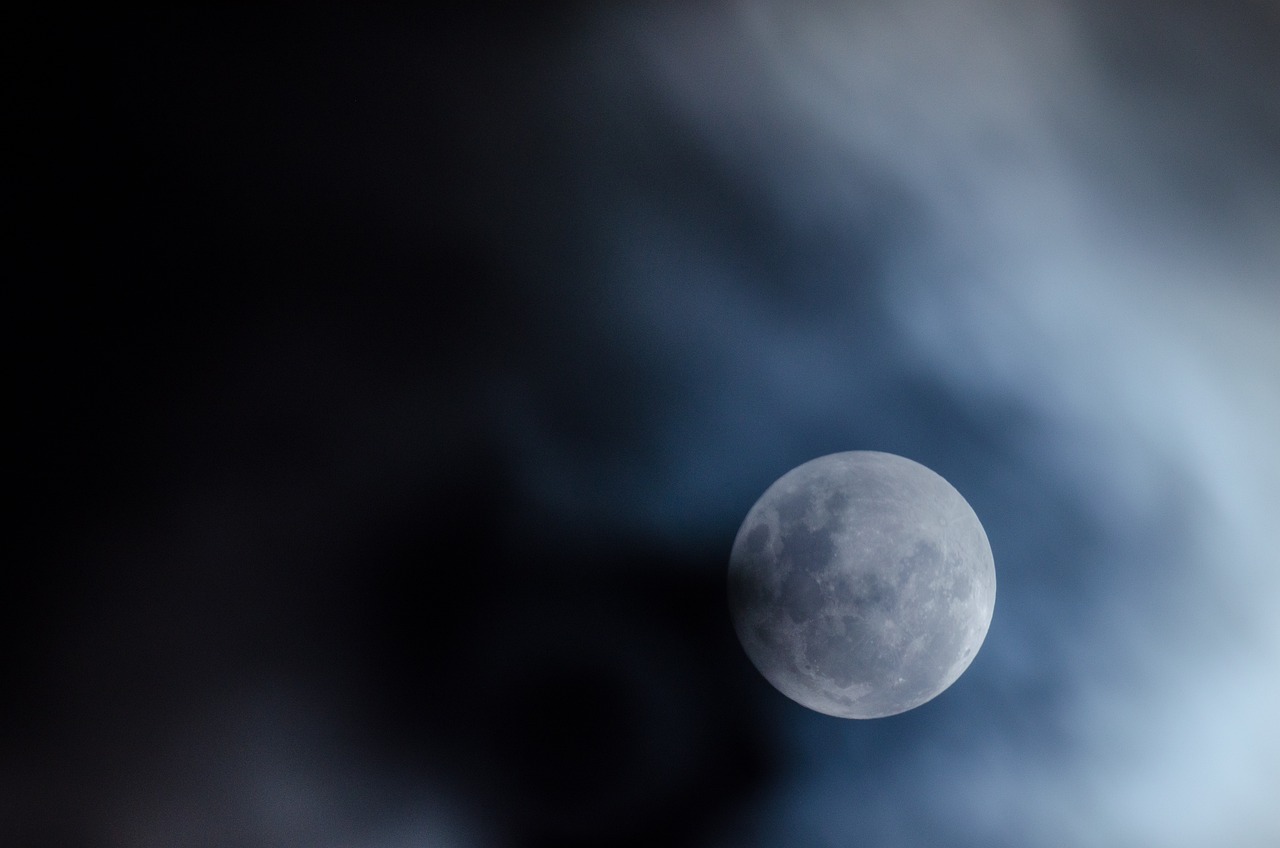 Free Moon Darling photo and picture