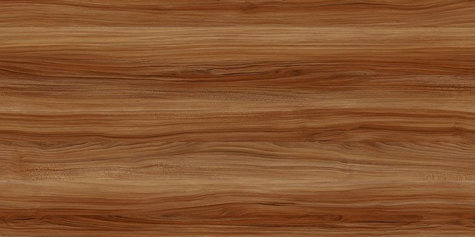 Free Trees Wood photo and picture