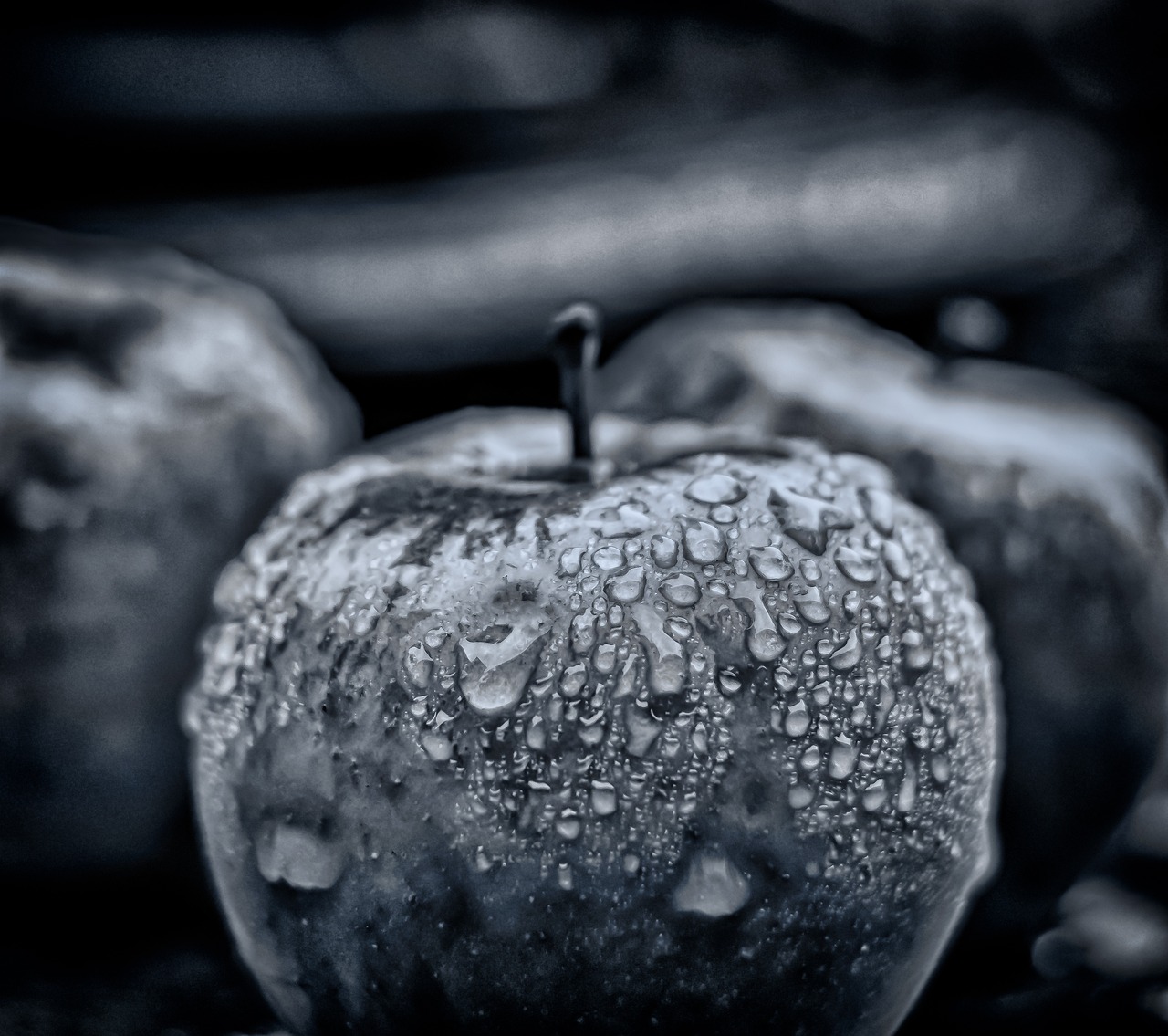 10,000+ Free Rain & Nature Photos Pixabay