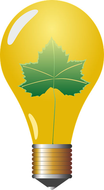 Free lightbulb pear lamp vector