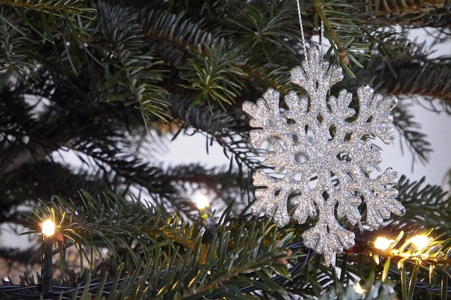 Free Christmas Tree photo and picture
