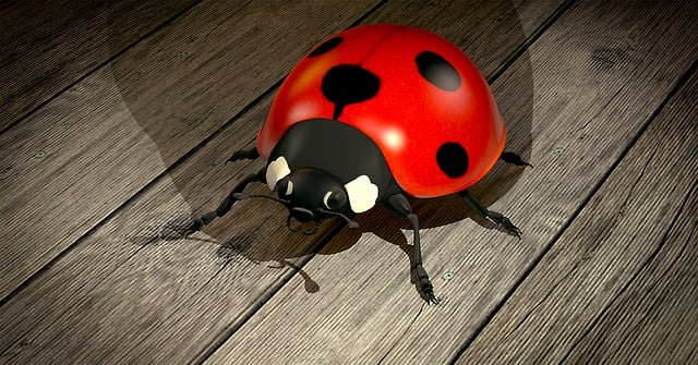 Free ladybug beetle lucky charm illustration
