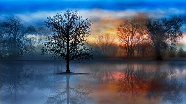 Agua, Árboles, Paisaje, Naturaleza
