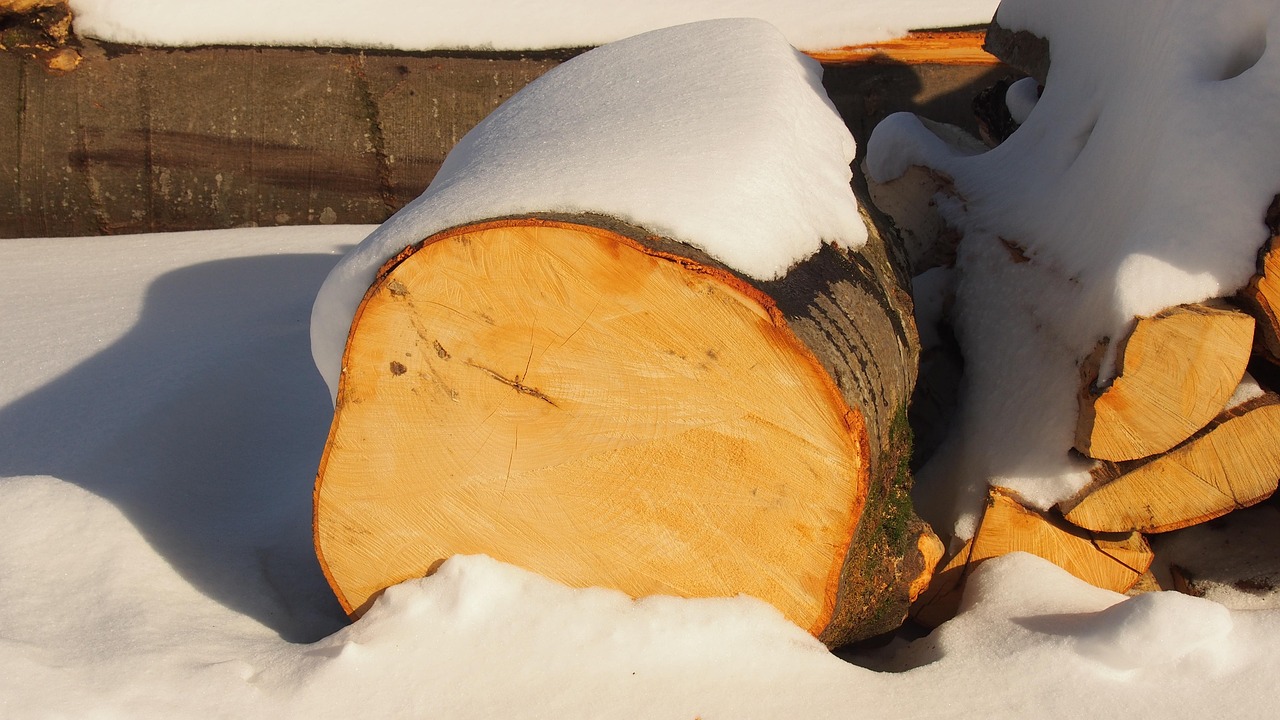 Log Wood Snow - Free photo on Pixabay - Pixabay