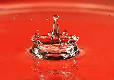 Free Drop Nature photo and picture