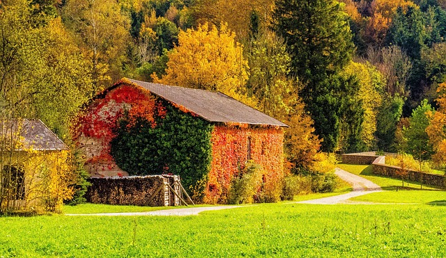 Free Barn Countryside photo and picture