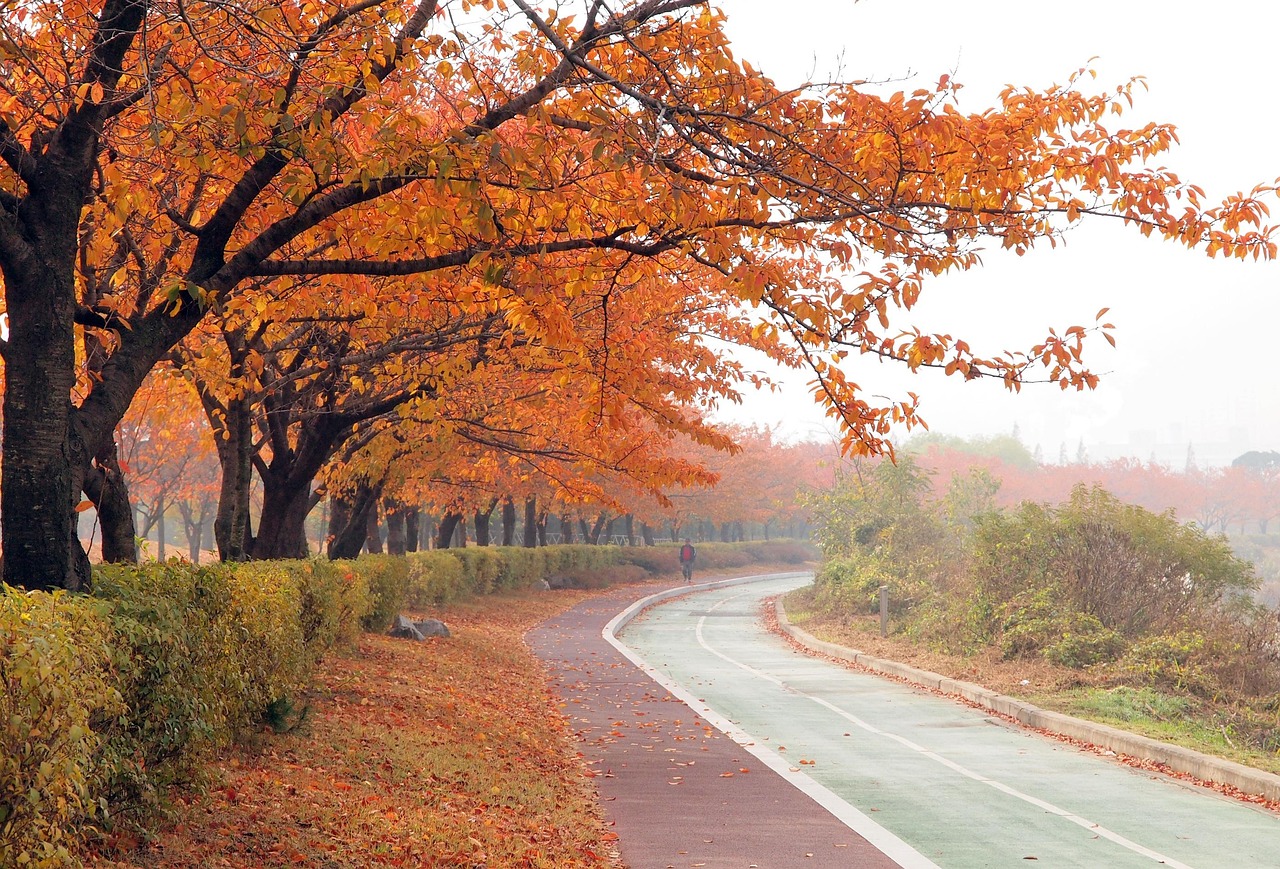 200 + 무료 가을풍경 & 가을 이미지 - Pixabay