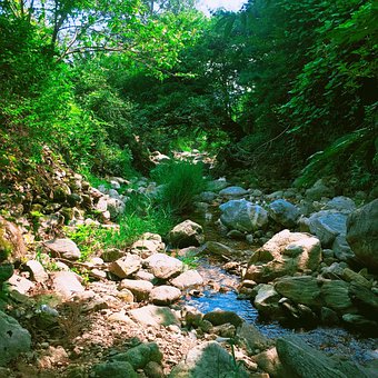 Free Mountain Nature photo and picture