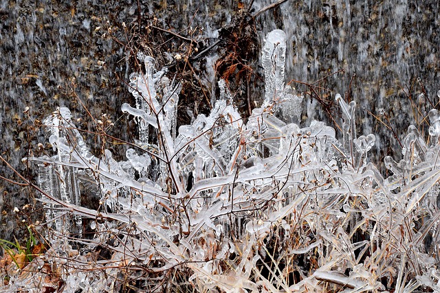 Ice Crystals Freezing - Free photo on Pixabay - Pixabay