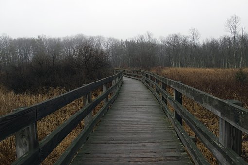 Free Path Walkway photo and picture