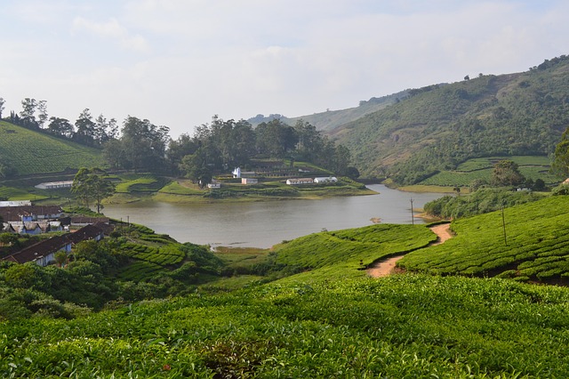 Free Meghamalai Hills photo and picture
