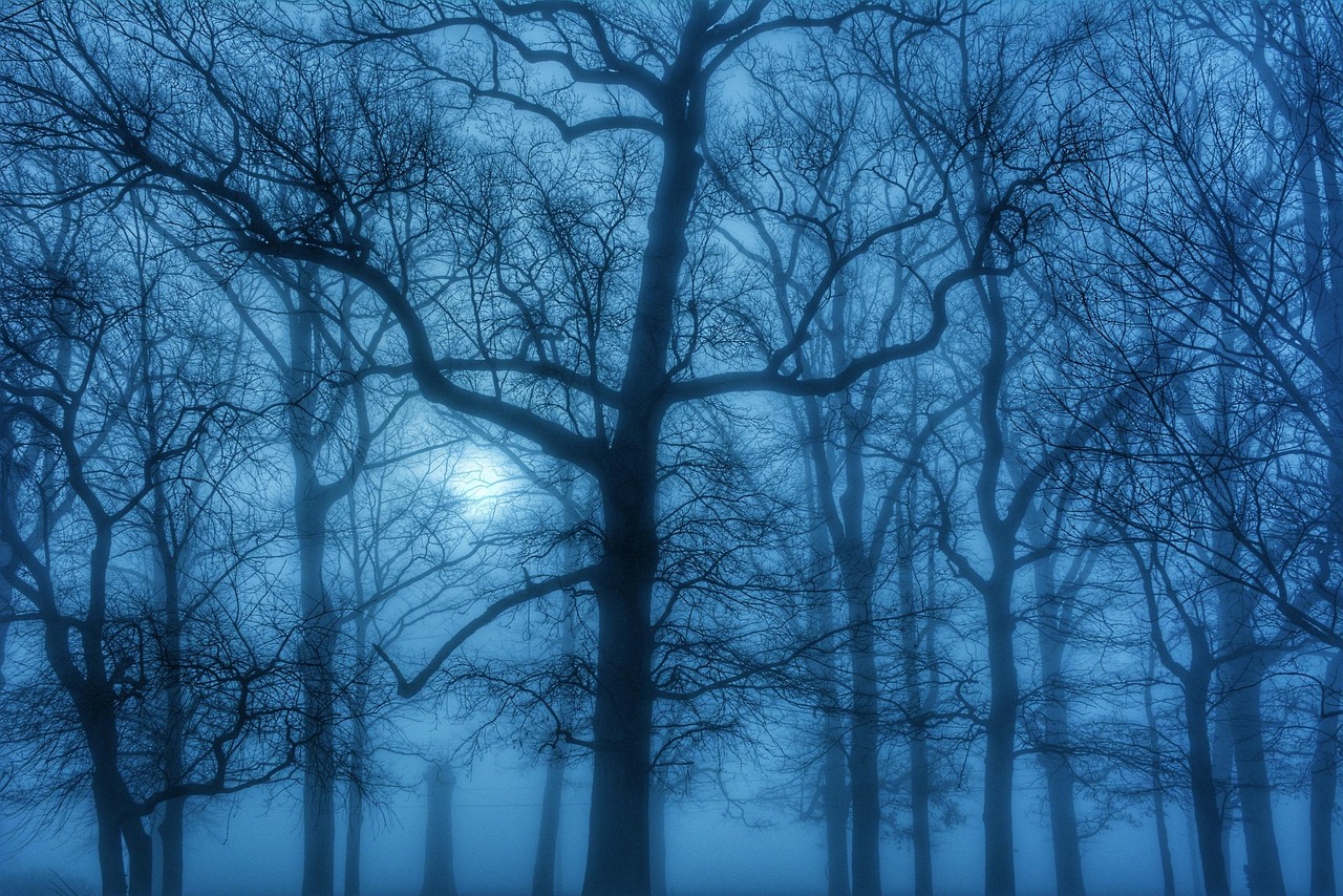 Fog - free online jigsaw puzzle photo