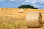 hay bales, hay, straw bales