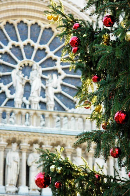 Free France Paris photo and picture