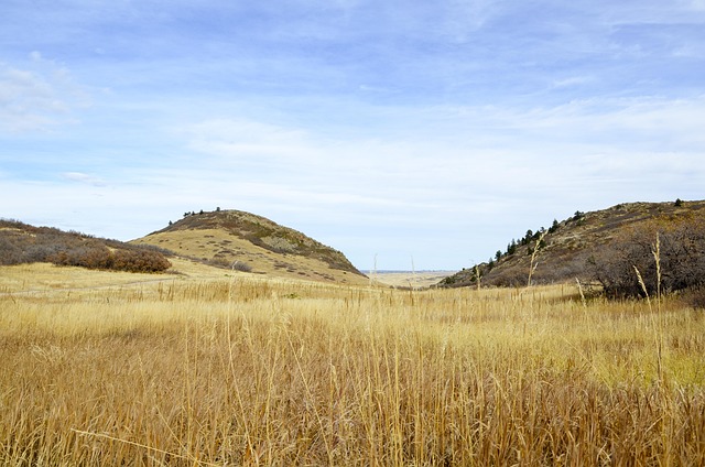 Denver, Fall Color, Vlak, Gebied