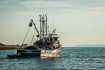 fishing boat, fish, fishing