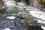 warren falls, pool, water