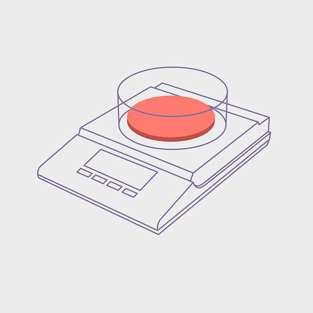 Free scales electronic weigher vector
