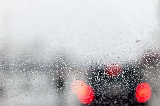 Free photo Rainy Day, Weather, Storm, Rainy Free Image on Pixabay