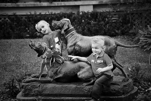 Grand-Kids, Grand-Children, Girl, Boy