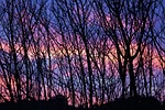 sunset, winter, ramos