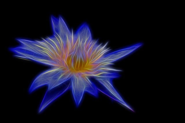 Modelo, Diseño, Naturaleza, Abstracto